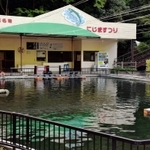 オールシーズンニジマス釣りを楽しめる「有馬ます池」＝神戸市北区有馬町