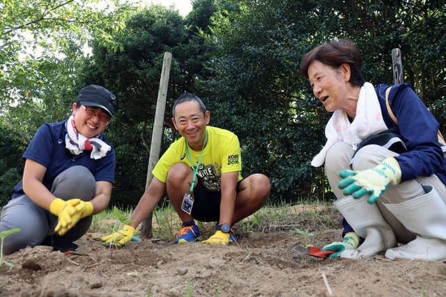 神戸マラソンのコース沿いにヒマワリの苗植えをする参加者ら＝神戸市垂水区平磯１