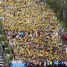 第１０回神戸マラソン／スタート／（３）