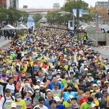 第１０回神戸マラソン／スタート／（１７）