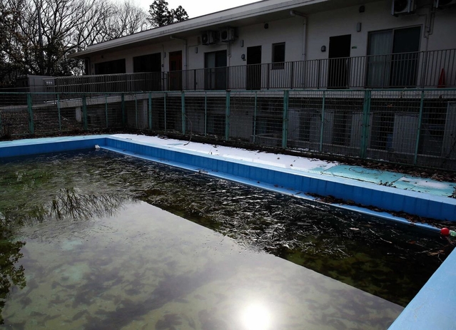 日差しで輝くプールの氷