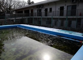 日差しで輝くプールの氷
