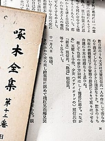 玉置の絵を鑑賞したことを記した、啄木の明治３５年１１月７日の日記（「啄木全集」第１３巻）