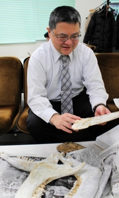 筆者が持参した動物の骨を鑑定する落合淳思さん＝２０１６年１月、京都市北区の立命館大学
