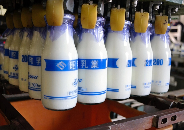 兵庫県内で唯一、学校給食用のビン牛乳を生産する「昭和乳業」の工場＝尼崎市浜２
