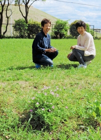 わずかに咲いたレンゲ（手前）を見ながら思い出を話すＮＰＯ法人「輝かすみが丘」の桝井啓子理事長（右）と野口和子理事。奥は五色塚古墳