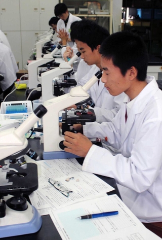 班ごとに手分けして、ゾウリムシを観察する生徒たち＝芦屋市山手町