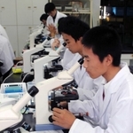 班ごとに手分けして、ゾウリムシを観察する生徒たち＝芦屋市山手町