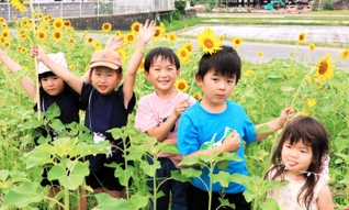 ヒマワリに囲まれて「はいポーズ」。元気いっぱいに応えてくれる平山明穂さん（左から２番目）、花田季さん（中央）ら＝南あわじ市倭文長田