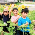 ヒマワリに囲まれて「はいポーズ」。元気いっぱいに応えてくれる平山明穂さん（左から２番目）、花田季さん（中央）ら＝南あわじ市倭文長田