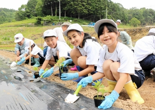 アサギマダラが来る日を楽しみに、山の中でフジバカマを植え付ける（右から）菅谷風香さん、シャザド愛紗さん、槙本璃斗さん＝佐用町宇根
