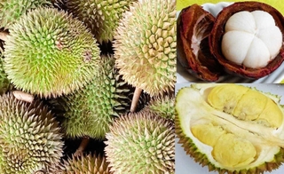 硬くとげとげの果皮を持ってクリーミーなドリアンと赤く分厚い果皮に包まれた純白の果肉のマンゴスチン