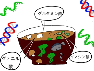 イラスト　香寺高校１年　村田　椛