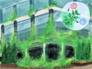 イラスト　香寺高校２年　牛尾梨乃