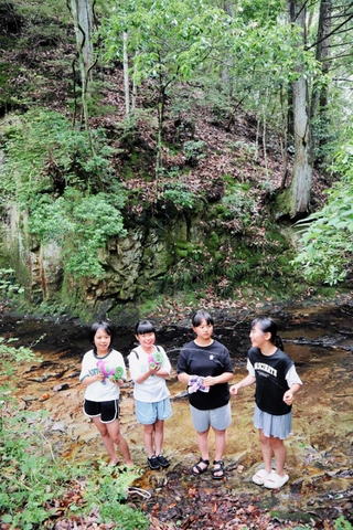 キャンプ場まで続く、ハイキング道。せせらぎの音が涼しげ