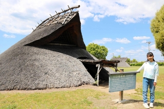 公園には、弥生時代の竪穴住居がいくつも再現されている＝播磨町大中１