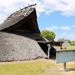 公園には、弥生時代の竪穴住居がいくつも再現されている＝播磨町大中１