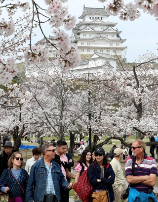 サクラ見頃の季節、訪日客の姿が目立つ姫路城＝姫路市本町