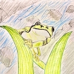 イラスト　宝塚北高校２年　上条彩人
