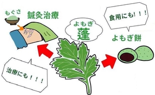 イラスト　香寺高校１年　岡田琉愛