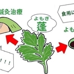 イラスト　香寺高校１年　岡田琉愛