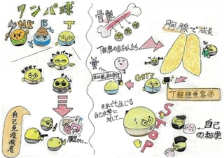 イラスト　長田高校２年　干場裕介