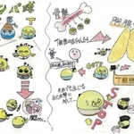 イラスト　長田高校２年　干場裕介