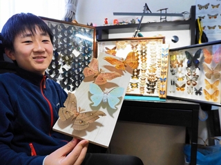 兵庫県内などで採集したさまざなチョウやガの標本を手にする上野貢さん＝神戸市須磨区