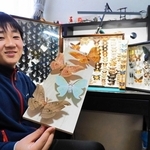 兵庫県内などで採集したさまざなチョウやガの標本を手にする上野貢さん＝神戸市須磨区