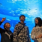 大きな魚たちに興味津々な（左から）坂口健誠さんと一誠さん、つぐみさん＝神戸市須磨区若宮町１、神戸須磨シーワールド（撮影・丸山桃奈）