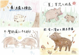 イラスト　家島中学校３年生一同