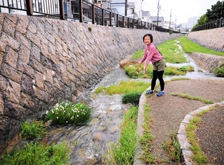 四季折々の姿を見せる朝霧川の魅力を紹介してくれる古淵春香さん＝明石市朝霧東町１