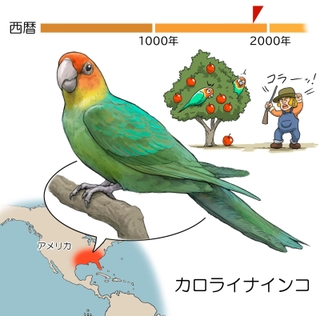 ⓒ川崎悟司
