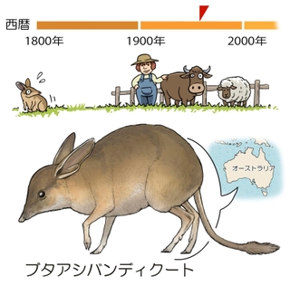 ⓒ川崎悟司