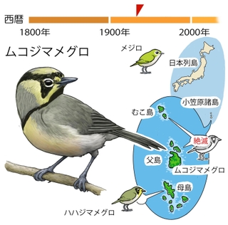 ⓒ川崎悟司