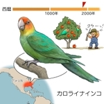 ⓒ川崎悟司