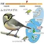 ⓒ川崎悟司