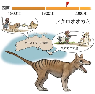 ⓒ川崎悟司