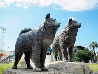 南極で生き延びたタロ（右）とジロの像＝名古屋市港区の名古屋港ガーデンふ頭