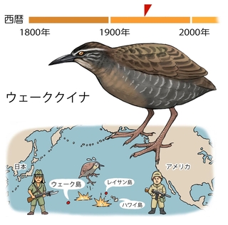 ⓒ川崎悟司