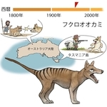 ⓒ川崎悟司