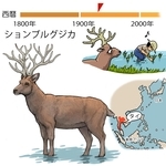 ⓒ川崎悟司