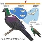 ⓒ川崎悟司
