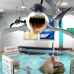 サメの模型が口を開けるタッチプール＝姫路市立水族館