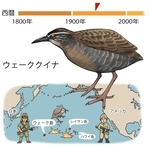 ⓒ川崎悟司