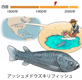 ⓒ川崎悟司
