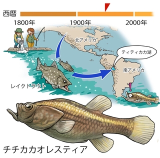 ⓒ川崎悟司