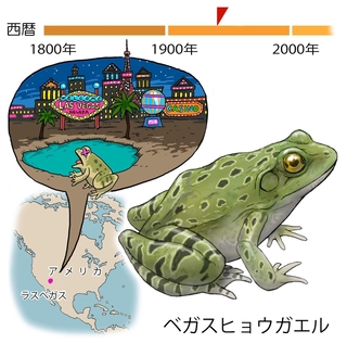 ⓒ川崎悟司
