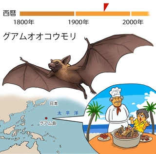 ⓒ川崎悟司