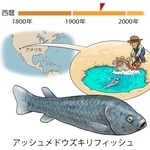ⓒ川崎悟司